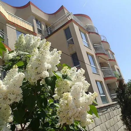 Atrium Terrace Kranewo